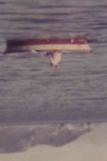 Verso/Inversus Poster