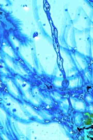 life never ever like before Poster