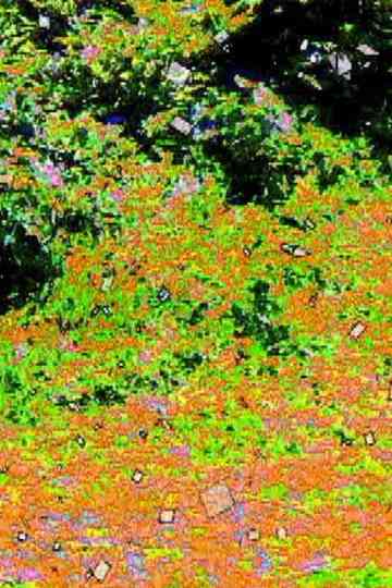 run on the planet Poster