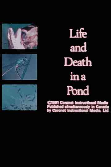 Life and Death in A Pond Poster