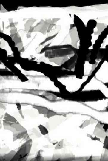 Variations on Two Photographs of Tina Modotti Poster