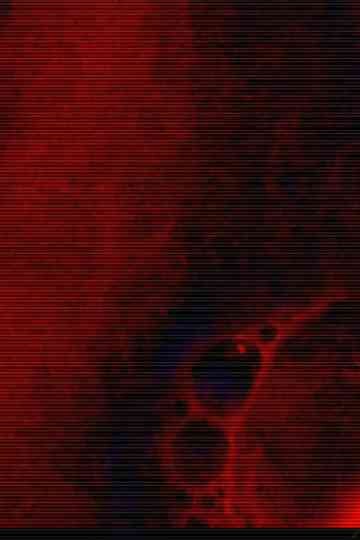 red, blue and black Poster