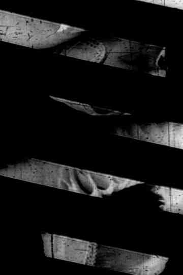 Window of the World Part 1: Hairstyle Colidascope Poster