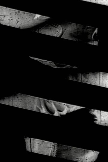 Window of the World Part 1: Hairstyle Colidascope