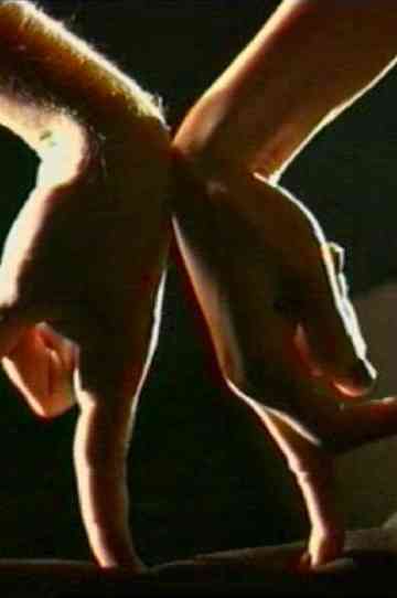 Message for mr Klaus Rinke Poster