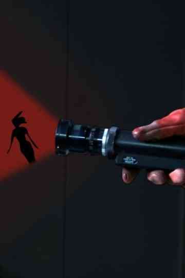 La rouge et la noire Poster