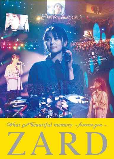 What a beautiful memory ～forever you～ Poster