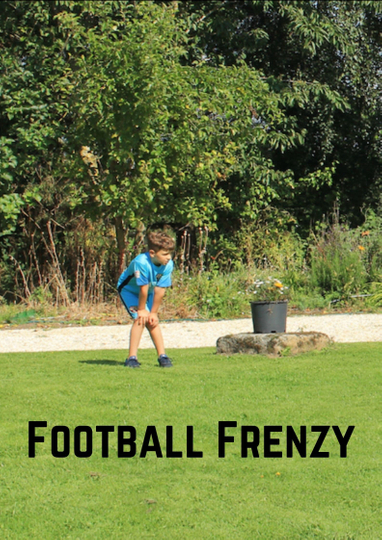 Football Frenzy