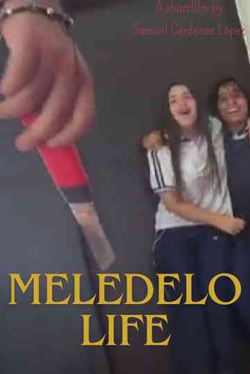 MELEDELO LIFE Poster