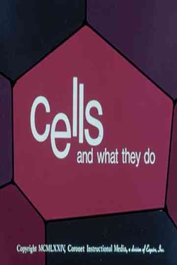 Cells and What They Do Poster