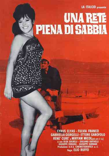 Una rete piena di sabbia Poster