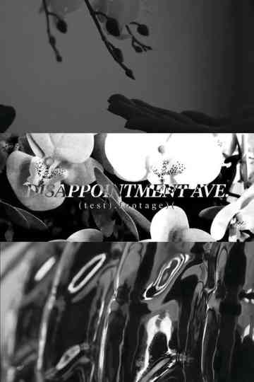 Disappointment Ave. Test No.1 Poster