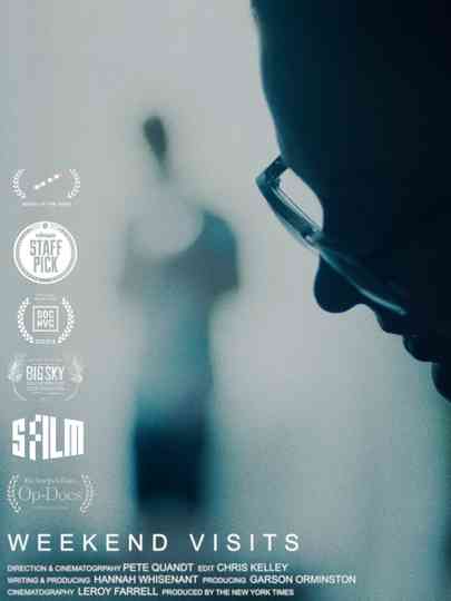 Weekend Visits Poster