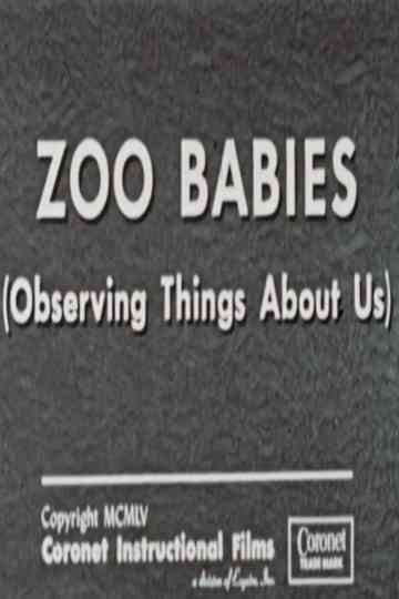 Zoo Babies (Observing Things About Us) Poster