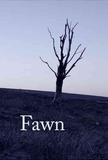 Fawn Poster