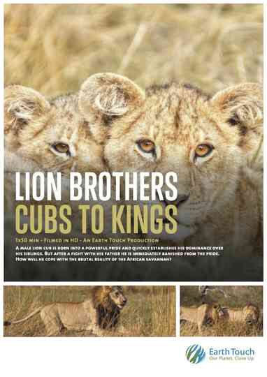 Lion Brothers: Cubs to Kings Poster