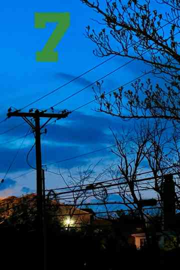 7he Cowboys (All I Need) Poster