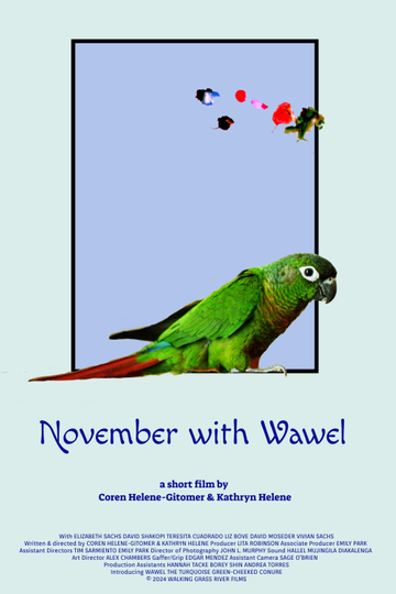 November with Wawel Poster