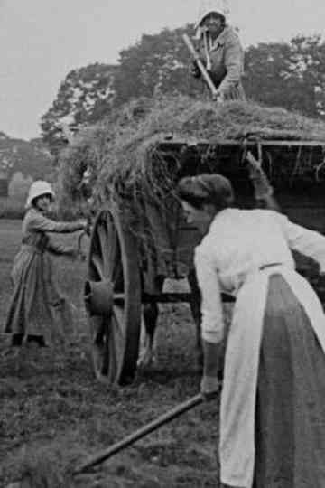 Women Hay Makers Poster