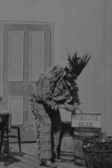 The Indian Chief and the Seidlitz Powder Poster