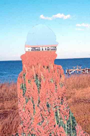 Underlying Persistent Volumes Poster