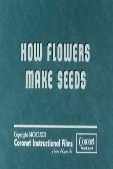 How Flowers Make Seeds Poster