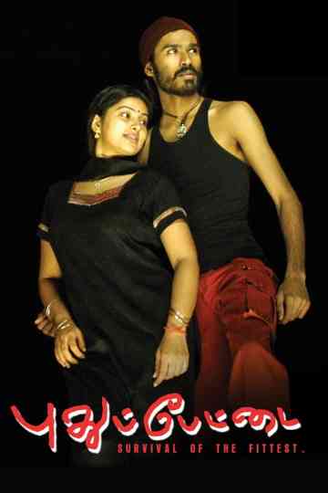 Pudhupettai collection Poster