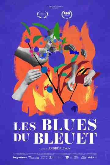 The Blueberry Blues Poster