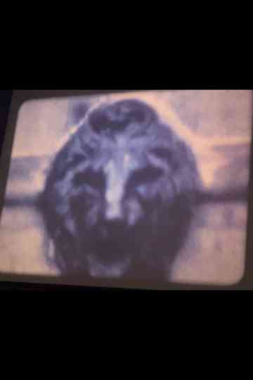 Jefferson Market Poster