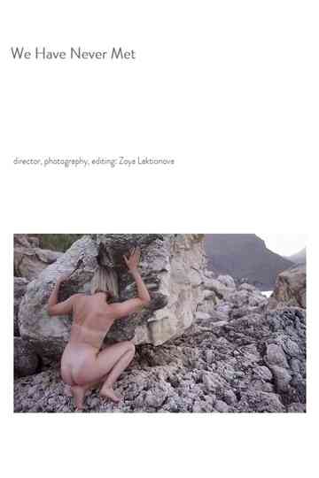 We Have Never Met Poster