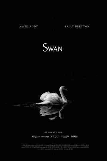 Swan Poster