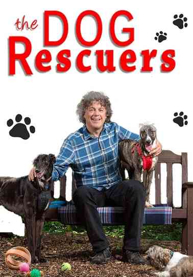 The Dog Rescuers with Alan Davies Poster