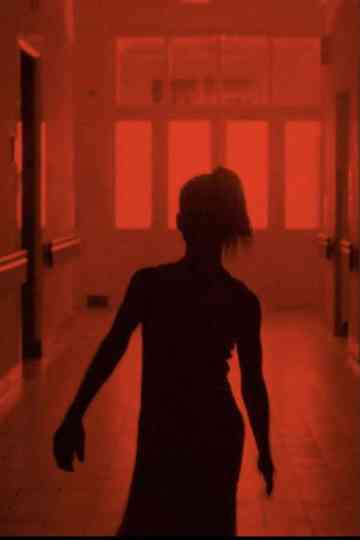 Im Haus der alten Augustin Poster