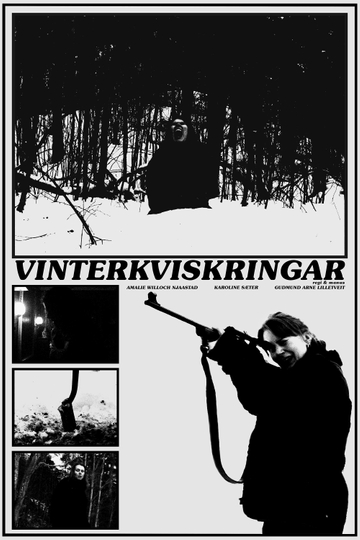 Vinterkviskringar Poster