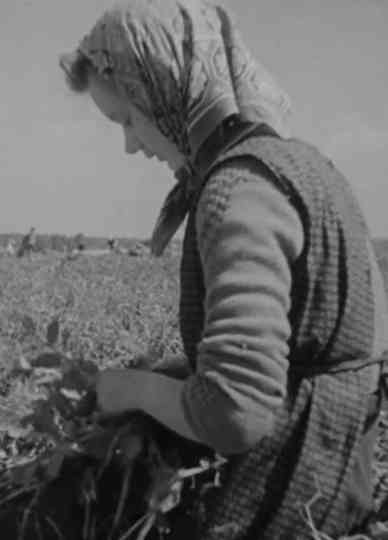 Over de jaargetijden heen Poster