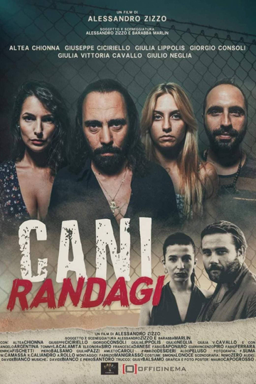 Cani randagi Poster