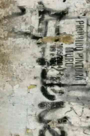 painting on the wall is prohibited Poster