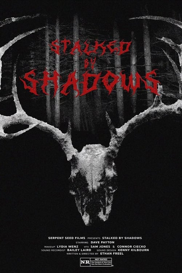 Stalked by Shadows Poster