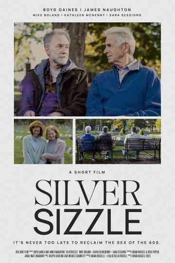 SilverSizzle Poster