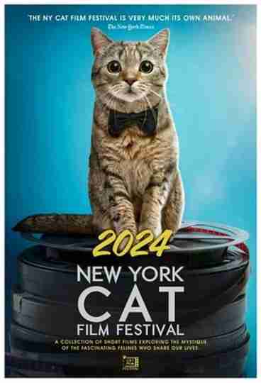 2024 New York Cat Film Festival Poster