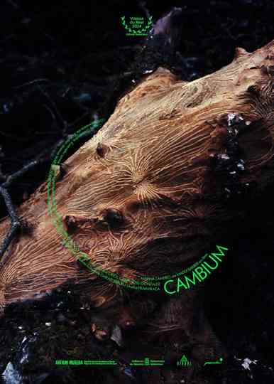 Cambium Poster