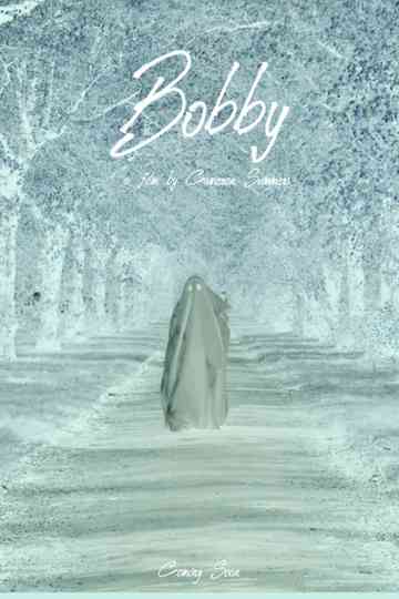 Bobby poster