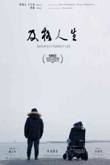 Imperfect Perfect Life Poster