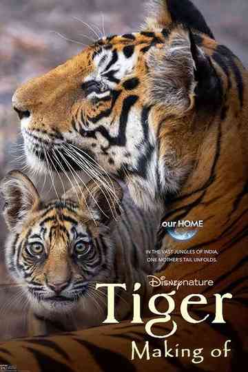 Tigres : Le Making of Poster