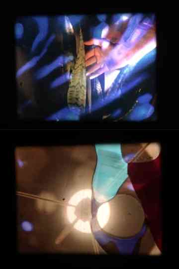 Popple's Feet Poster