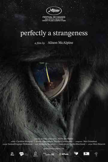 Perfectly A Strangeness Poster