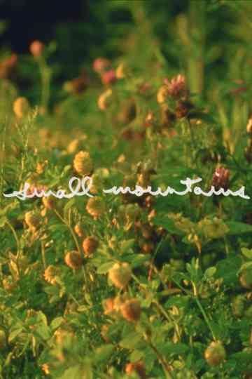 Small Mountains Poster