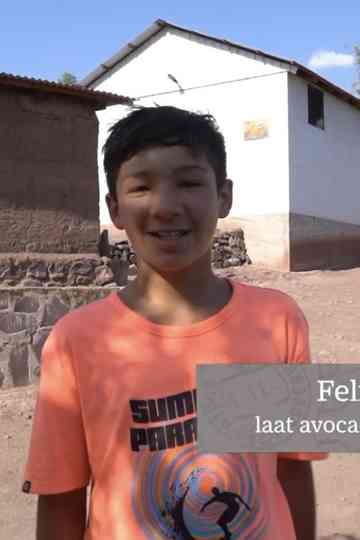 Felipe, de avocado's in Chili en klimaatverandering Poster