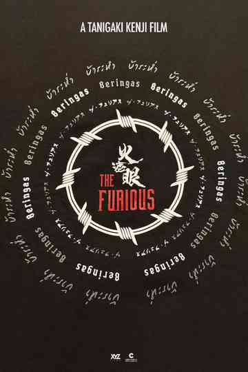 The Furious Poster