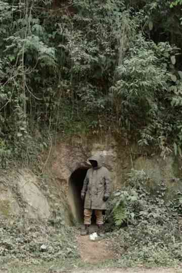 Alameda das Acácias Poster